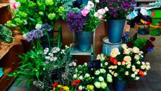 Blumen Verkauf